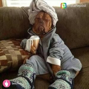 Meet your Posher, Annette